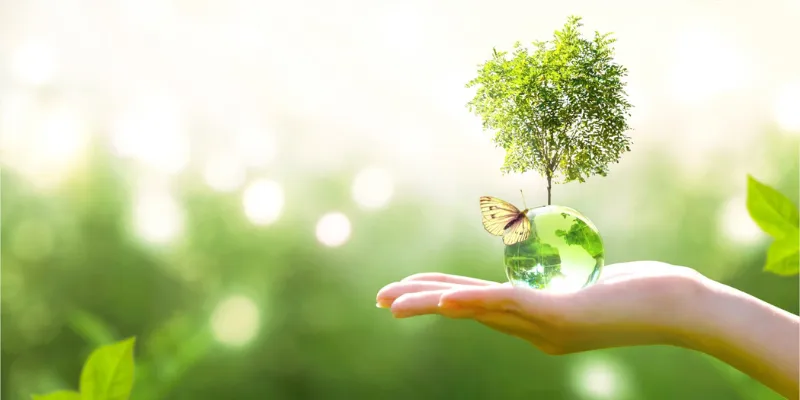 Lan toả giá trị những hành động thiện nguyện của TSG Land